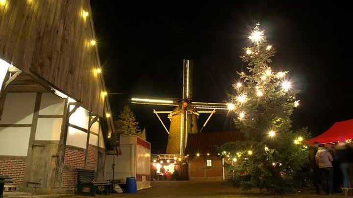 Weihnachtsbaum auf dem Mühlenhof in Veldhausen